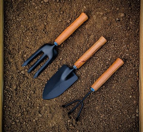 GOLD DUST Gardening Tools, Garden Tools, (Trowel, Hand Cultivator ...