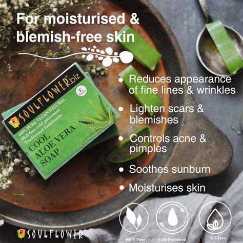 Buy SOULFLOWER COOL ALOEVERA SOAP 150G (SET OF 2) Online & Get Upto 60% ...