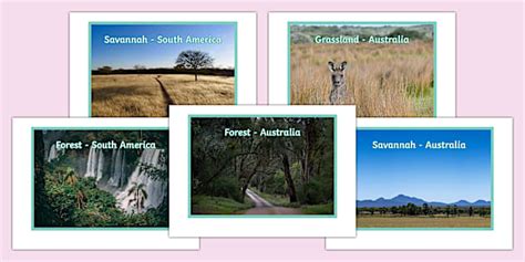 Types of Vegetation Australia & South America Display Photos