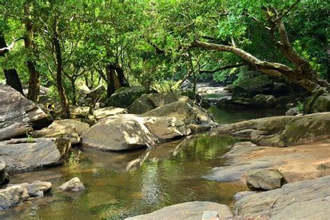 Thomman Kuth Waterfalls (Thodupuzha) - 2020 What to Know Before You Go ...