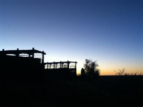 The 5 Best Central Kalahari Game Reserve Lodges 2023 (with Prices ...