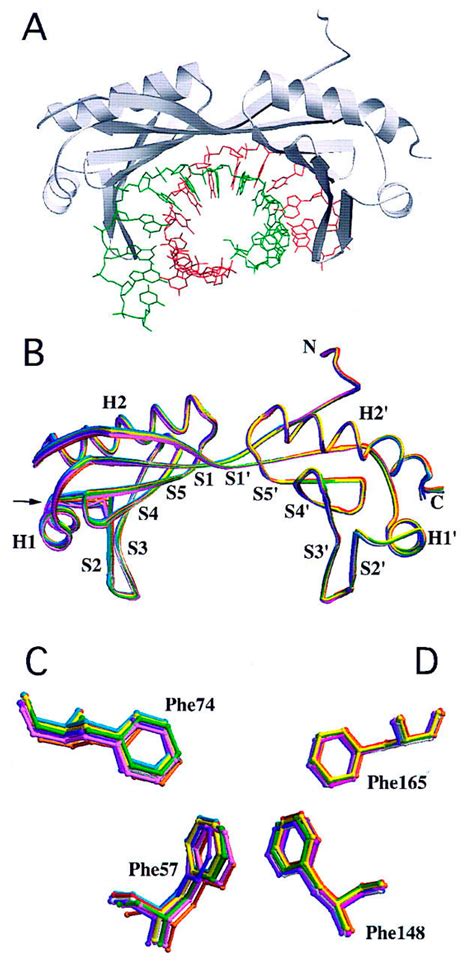 On the Role of TATA Boxes and TATA-Binding Protein in Arabidopsis thaliana