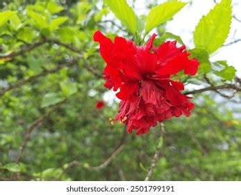 Free Stock Downloads 的图像结果