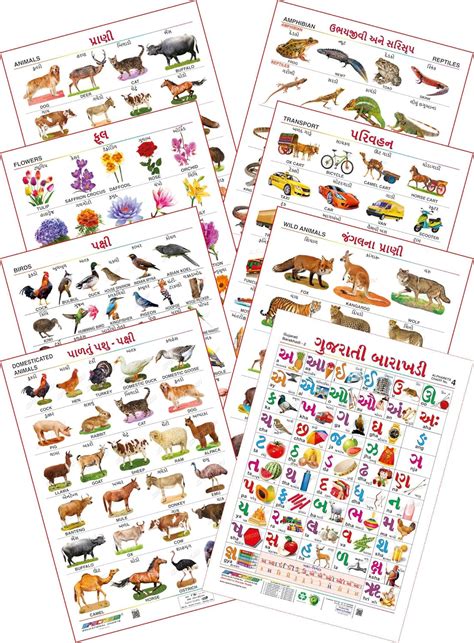 Buy Spectrum Educational Mini Wall Chart (Set of 8) : ( Animals , Birds ...