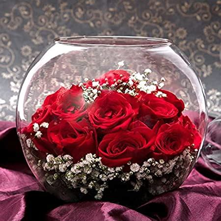 Giftcart Real Preserved Forever Rose Red/Long Lasting Flower (2-4 Years ...