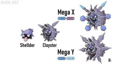 Image result for Shellder Evolution