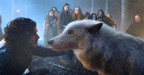 Game of Thrones Fans Baffled at George R.R Martin's Involvement in ...