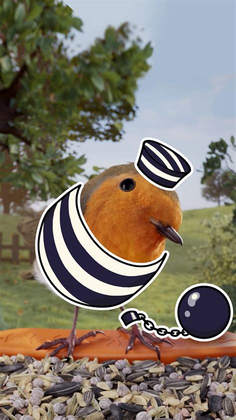 Image result for Bird Addiction Animation