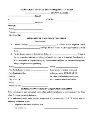 Fillable Online IN THE CIRCUIT COURT OF THE TENTH JUDICIAL CIRCUIT ...