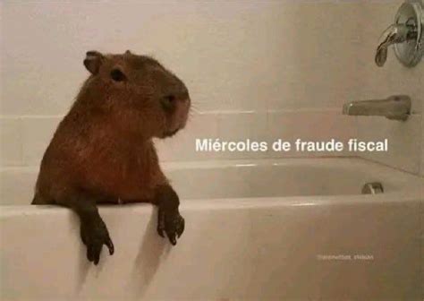 Image result for CapRate Humor