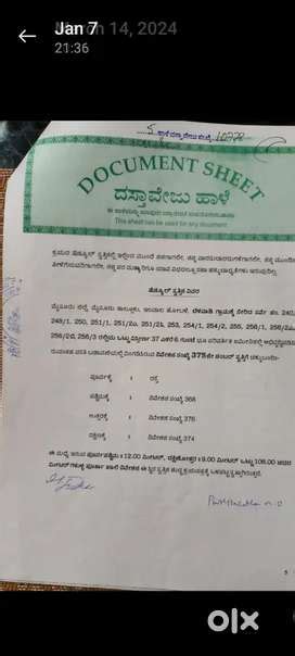 Mysore in Mysuru, Free classifieds in Mysuru | OLX