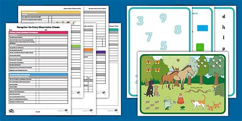 EYFS Reception On-Entry Detailed Observation Sheets - Twinkl