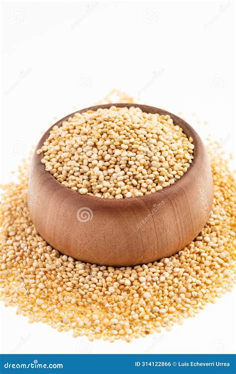 Semillas De Chenopodium Quinoa Quinoa En El Intestino Foto de archivo ...