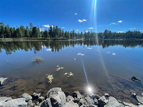 White Horse Lake Campground in Kaibab National Forest, Arizona: Reviews ...