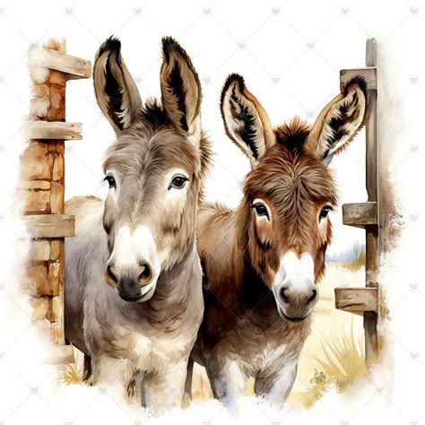 Donkeys JPG Clipart Bundle- Digital Download - Etsy | Dog portraits art ...
