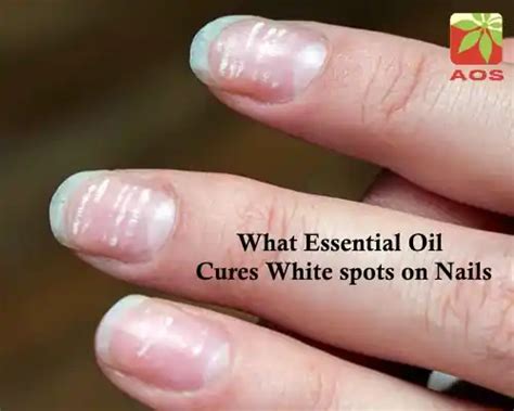 Capsicum Oleoresin: 6 Surprising Benefits | AOS Products