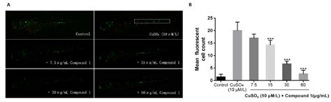Terpene Glycosides from Sanguisorba officinalis and Their Anti ...