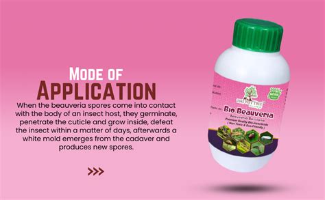 THE WET TREE Bio Beauveria (Beauveria Bassiana Liquid) | Bio Pesticide ...