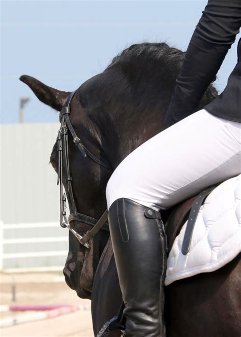 Traverse City Schooling Shows, 3606 Blair Town Hall Rd, Traverse City ...