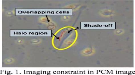 Image result for Interference Microscope