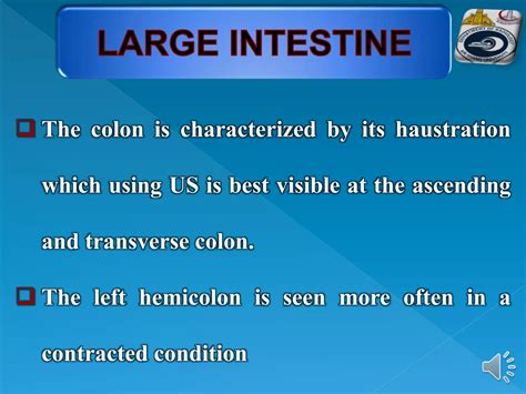 Git ultrasound part I technique & normal appearance | PPT
