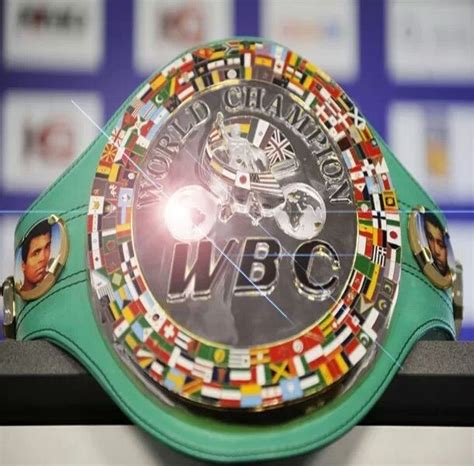 WBC Ratings – February 2014 | David Martinez Boxing