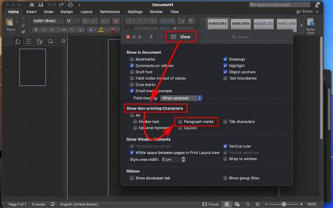 Image result for Word Paragraph View Symbols