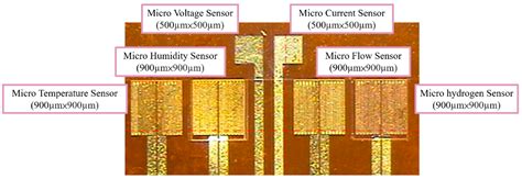 Flexible 6-in-1 Microsensor for Real-Time Microscopic Monitoring of ...