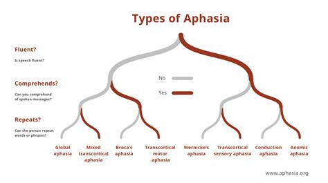 Image result for Aphasia Types Chart Fluent