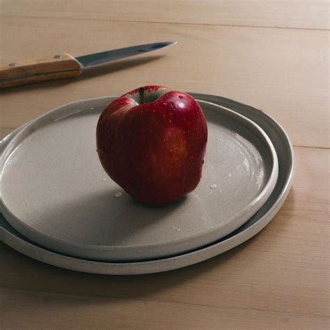 Buy Stylish Misfits Small Plate Oyster | Online in India | Lagavi