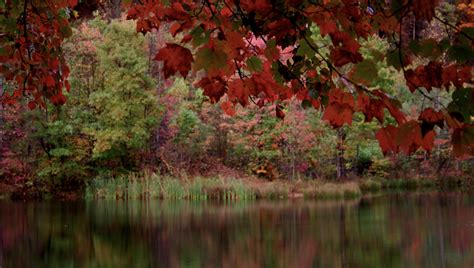 Slide Backgrounds HTML CSS 的图像结果