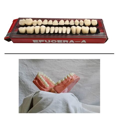 Buy 56 Pcs False Teeth Dental Complete Acrylic Resin Denture Teeth, 2 ...