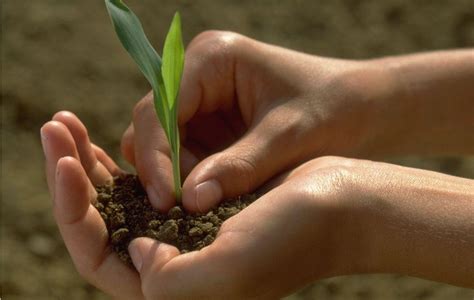 Syngenta in India | Syngenta