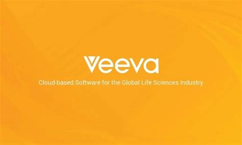 Top 20 IT Software Companies in 2024