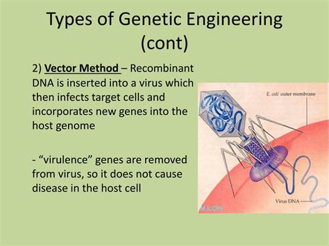 Image result for Types of Genetic Engineering