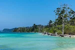 Andaman & Nicobar Elephant Beach India (Enhance Matt, 6x8) : Amazon.in ...