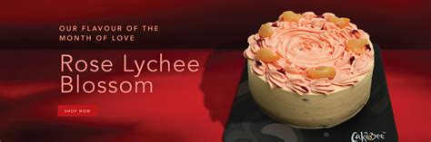 Best Cakes Online at CakeBee | Order Cakes Online | CakeBee