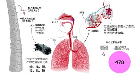 PM2.5与PM10相比，对健康的危害有什么不同