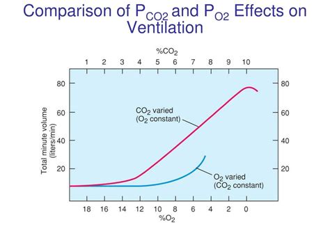 Image result for PCO2 PO2