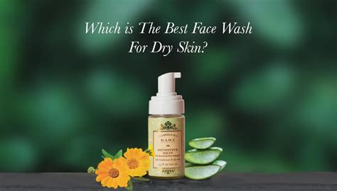 Which Is The Best Face Wash For Dry Skin? - Kama Ayurveda