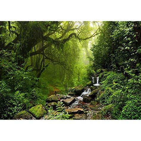 Bormia Wall Mural Fantasy Forest Nature Wallpaper India | Ubuy