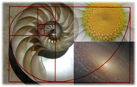 Golden Section and its application in Architecture and Design