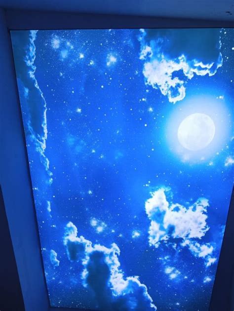 Graphic Ceiling Manufacturer, Supplier from Delhi