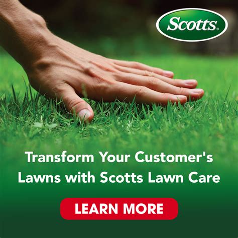 Effective Strategies for Killing and Controlling Nutsedge in Your Yard - Arett Outlook