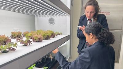 UAE schools do away with single-use plastics before 2024 ban | The National