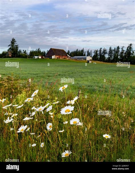 Surrey farm buildings hi-res stock photography and images - Alamy