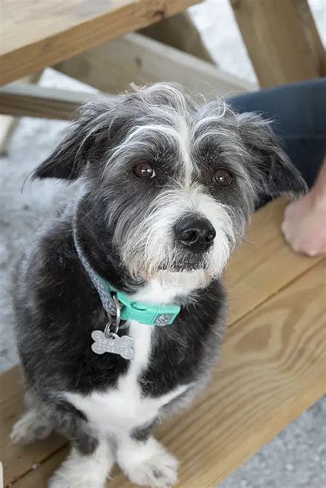 Image result for Fulcrum Application Edits Tutorial