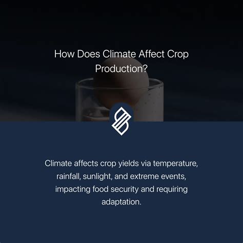 Crop Yields → Term