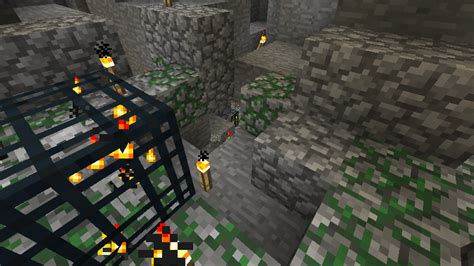 Image result for Java Double Spawner Seed