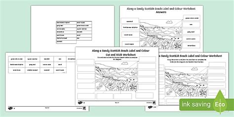 Scottish Beach Labelling Worksheet | CfE Resources - Twinkl